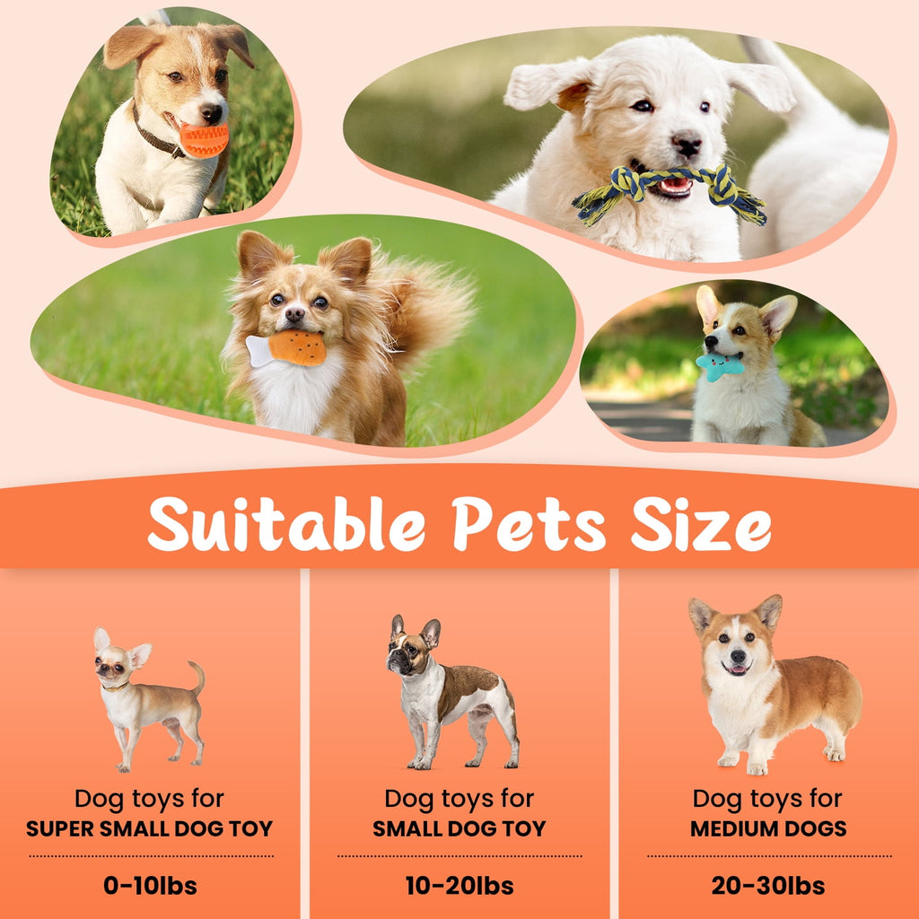 MASBRILL Dog Toys for Small Dogs ,10 Pack Puppy Chew Toys for Teething and Training with Plush Squeaky Toys, Treat Ball and Rope Toys to Keep Them Busy，White Dog