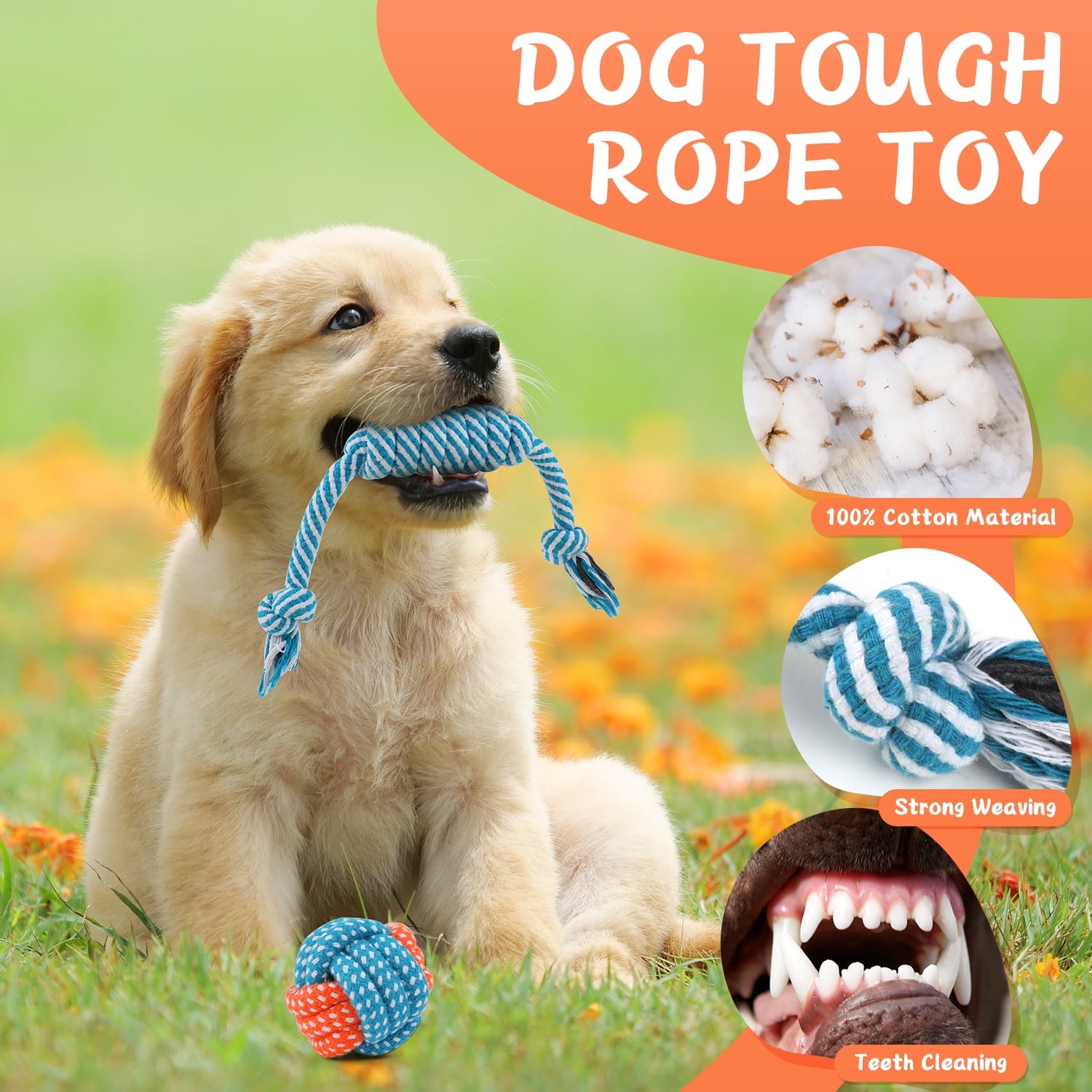 MASBRILL Dog Toys for Small Dogs ,10 Pack Puppy Chew Toys for Teething and Training with Plush Squeaky Toys, Treat Ball and Rope Toys to Keep Them Busy，White Dog