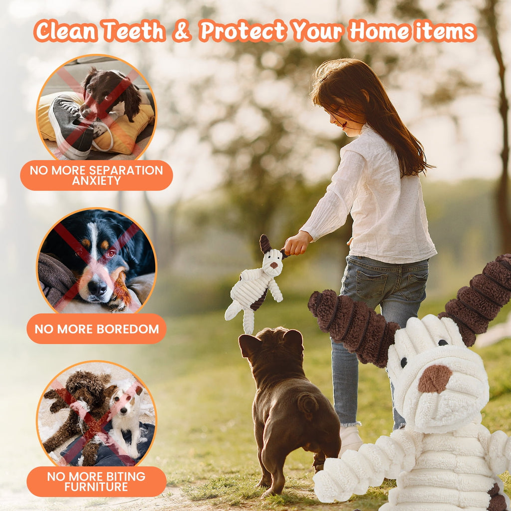 MASBRILL Dog Toys for Small Dogs ,10 Pack Puppy Chew Toys for Teething and Training with Plush Squeaky Toys, Treat Ball and Rope Toys to Keep Them Busy，White Dog